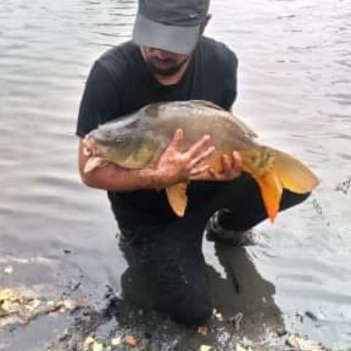 Profilo di Louis-thomas