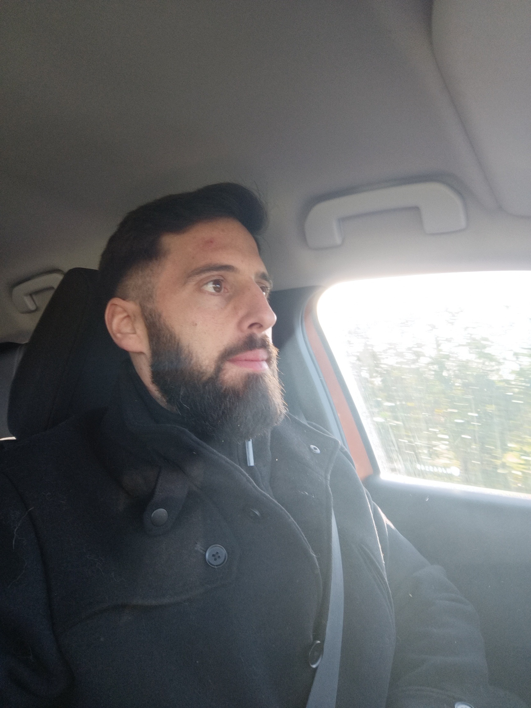 Profilo di David-junior