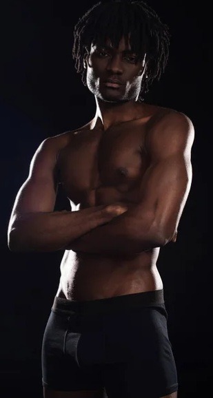 Profilo di Toussaint