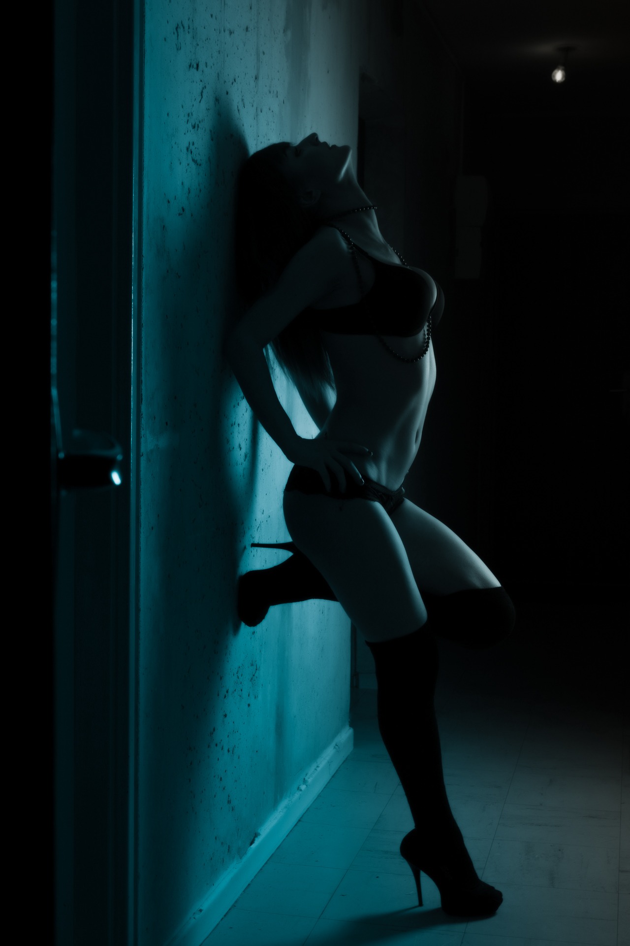 Profilo di Wenceslas