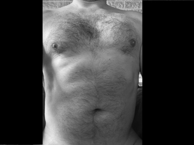 Profilo di Saint-cyr